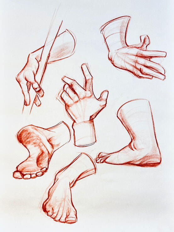 Hands + Feet